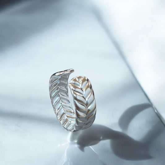 HERA ring